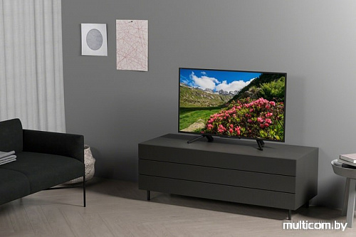 Телевизор Sony KDL-43RF453