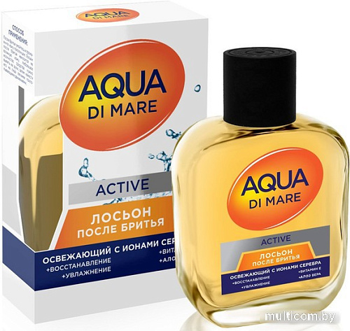 Лосьон после бритья Everjoy Aqua Di Mare Active (100 мл)