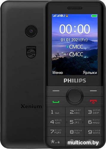 Смартфон Philips Xenium E172 (черный)