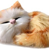 Ночник Roxy Kids Домик для котика