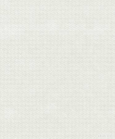 Флизелиновые обои Rasch 102116