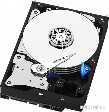 Жесткий диск WD Purple 1TB [WD10PURZ]
