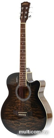 Акустическая гитара Elitaro E4030 BKS