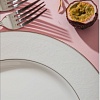 Тарелка обеденная Narumi Рошель NAR-50454-1557