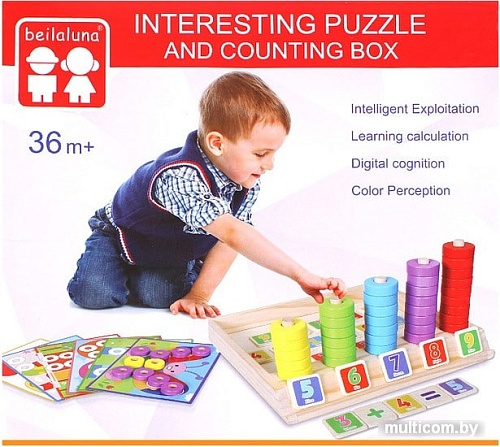 Сортер Darvish Пазл-сортер + счетный бокс DV-T-2356