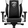 Кресло Sharkoon Shark Skiller SGS3 BK/WH (черный/белый)