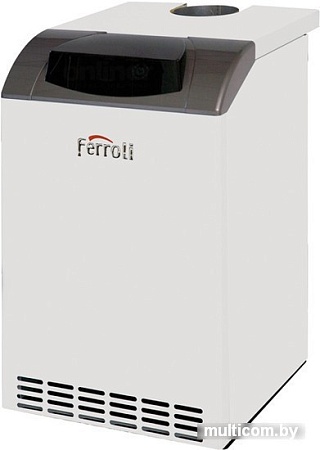 Отопительный котел Ferroli Pegasus D 32
