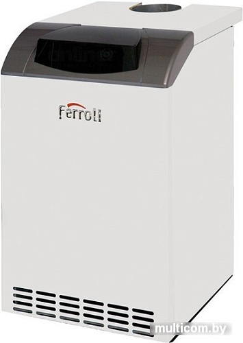 Отопительный котел Ferroli Pegasus D 32