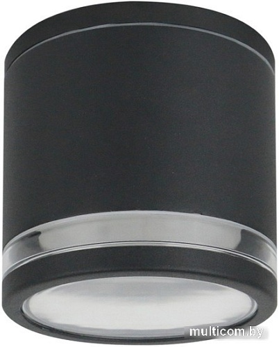 Фасадный светильник Arte Lamp Nunki A1910PF-1BK