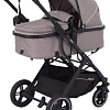 Rant Basic Pulsar RA160 (2 в 1, beige)