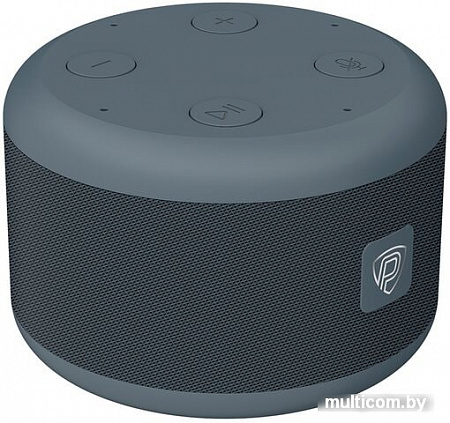 Беспроводная аудиосистема Prestigio Smartvoice (черный/серый)
