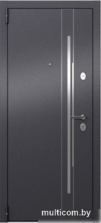 Torex Tau LT MP2 (95x205, левая)