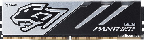 Apacer Panther 32ГБ DDR5 6400 МГц AH5U32G64C5527BAA-1