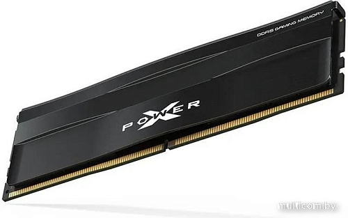 Оперативная память Silicon-Power XPower Zenith 2x32ГБ DDR5 5600 МГц SP064GXLWU560FDE