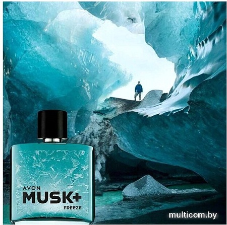 Туалетная вода Avon Musk Freeze+ EdT (75 мл)