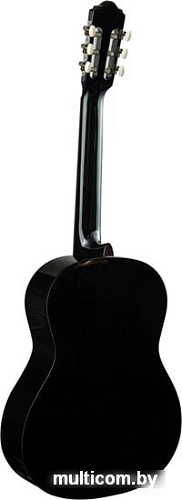 Акустическая гитара Flight C-120 BK 4/4