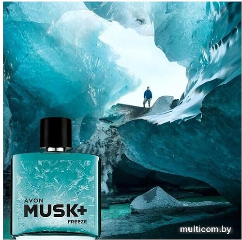 Туалетная вода Avon Musk Freeze+ EdT (75 мл)
