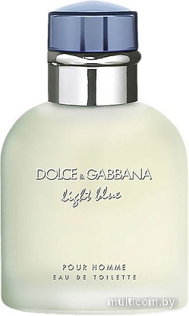 Dolce&Gabbana Light Blue pour Homme EdT (40 мл)