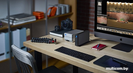 Внешний накопитель LaCie d2 Professional 6TB STHA6000800