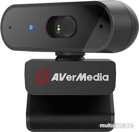 Веб-камера AverMedia PW310P