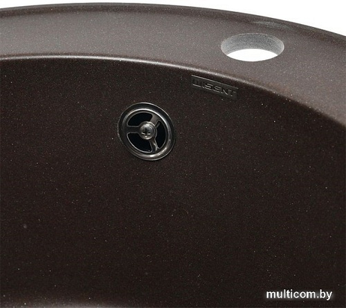 Кухонная мойка Wisent 480-27WR (с сифоном GER013)