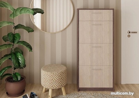 Тумба для обуви Артём-Мебель СН-100.12 (ясень анкор светлый/ясень анкор темный)