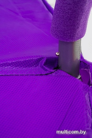 Батут Calviano Inside Master Purple 312 см - 10ft (внутренняя сетка, с лестницей)