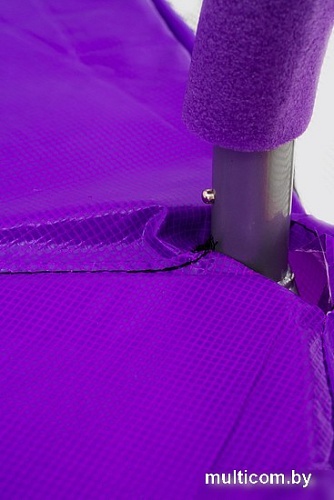 Батут Calviano Inside Master Purple 312 см - 10ft (внутренняя сетка, с лестницей)