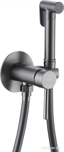 Гигиенический душ Abber Wasser Kreis AF8125NG (никель)