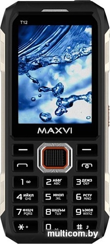 Мобильный телефон Maxvi T12 (черный)