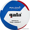 Волейбольный мяч Gala Pro-Line 12 BV 5595 SA (размер 5, белый/красный/голубой)