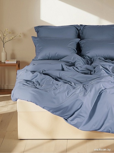 Постельное белье Sima-Land 10518576 (синий)