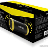 Беспроводная колонка SmartBuy Tuber MKII SBS-4200