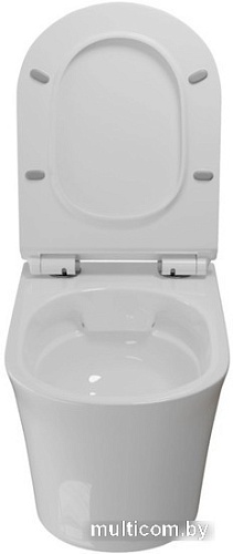 Унитаз White Wave Star (белый глянец)