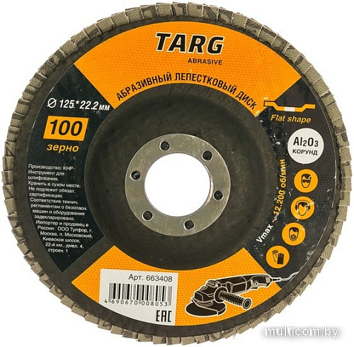 Шлифовальный круг Targ 663408