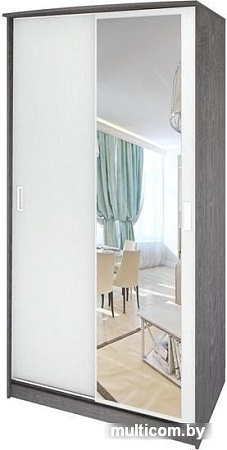 Шкаф раздвижной Кортекс-мебель Лагуна ШК03-01 (береза/белый)