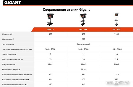 Станок Gigant DP1016