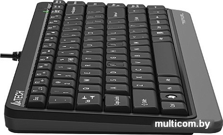Клавиатура A4Tech Fstyler FKS11 (черный/серый)