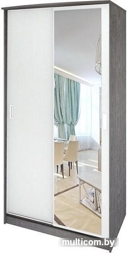 Шкаф раздвижной Кортекс-мебель Лагуна ШК03-01 (береза/белый)