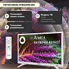 Телевизор ASANO 24LH8011T