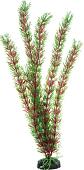 Искусственное растение Barbus Перестолистник Plant 001/30 (красный)
