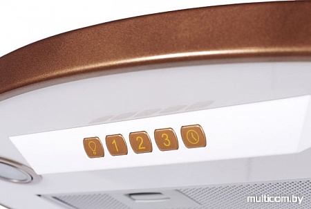 Кухонная вытяжка KUPPERSBERG Bona 60 W Bronze