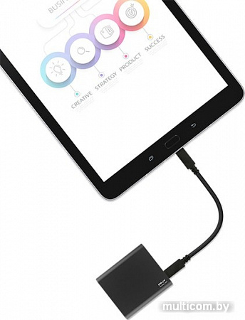 Внешний накопитель PNY Pro Elite 250GB PSD0CS2060-250-RB