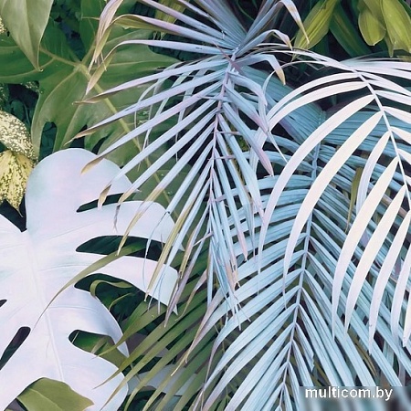 Фотообои Citydecor Цветы и Растения 145 300x260