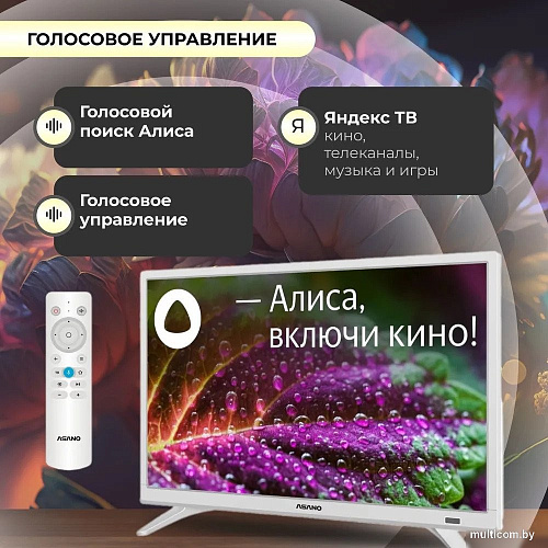 Телевизор ASANO 24LH8011T