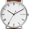 Наручные часы Skagen SKW6427