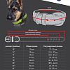 Ошейник Angel Pet Sedona 11092/AG (черный)