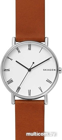 Наручные часы Skagen SKW6427