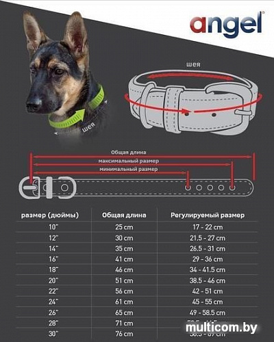 Ошейник Angel Pet Sedona 11092/AG (черный)