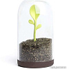 Емкость Qualy Sprout Jar QL10205-BN